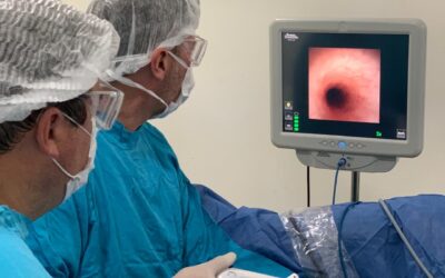 Nuevo sistema de ureteroscopía flexible